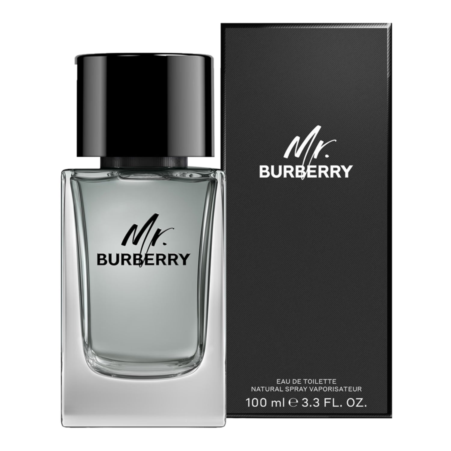 Mr Burberry For Men EDT 100ml