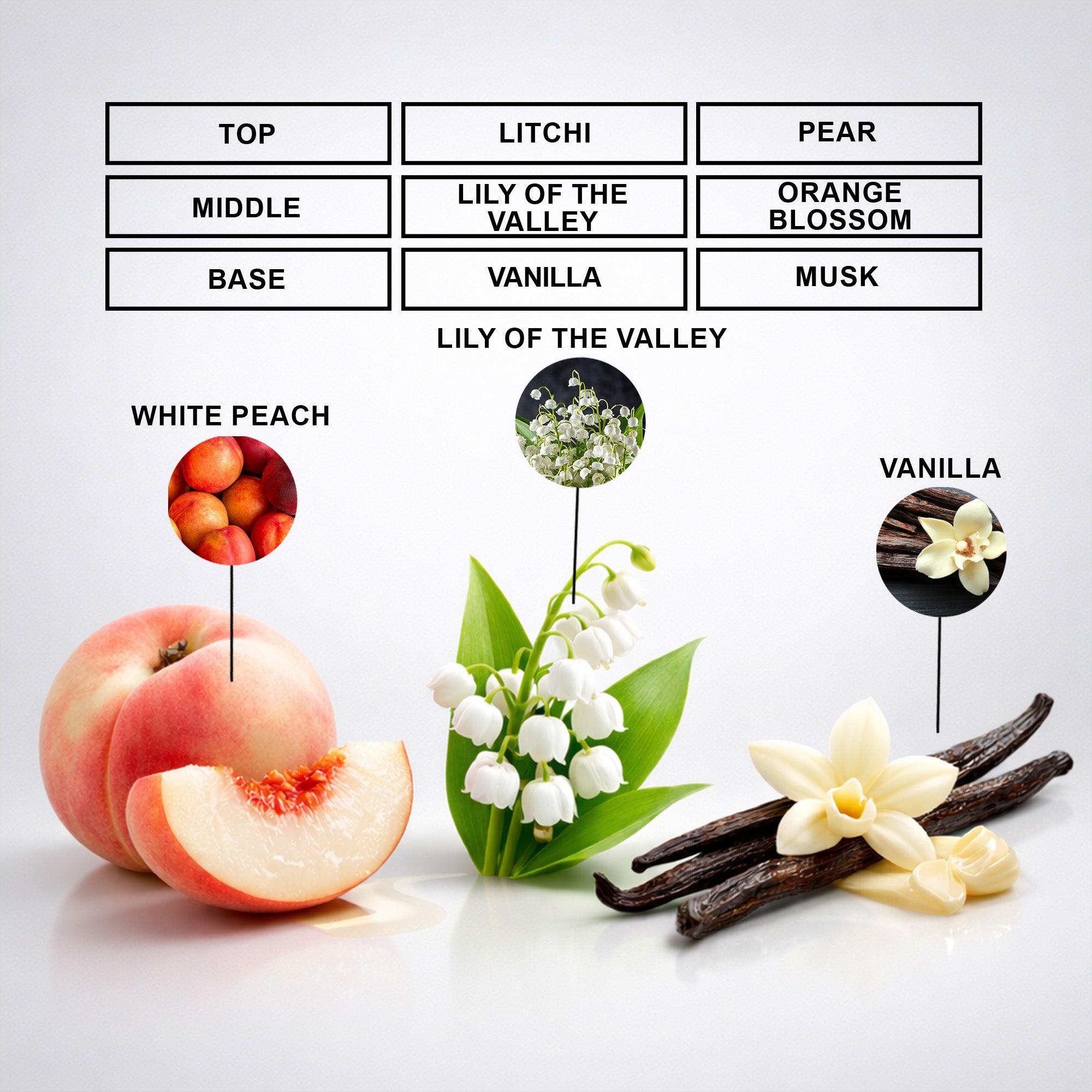 Pure Valora Perfume Oil | Inspired By Valaya For Women