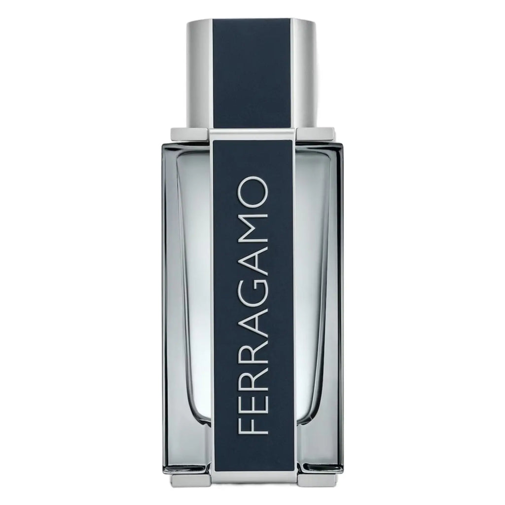 salvatore ferragamo edt for men 100ml
