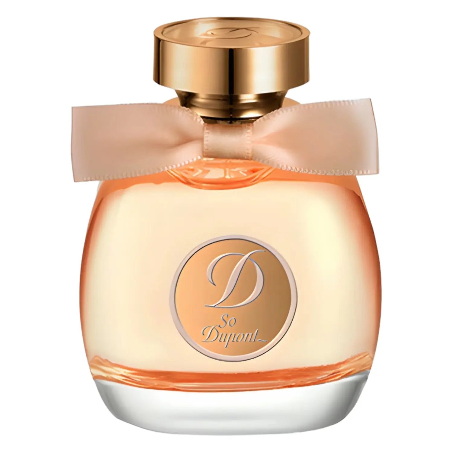 st dupont so dupont for women edp 100ml