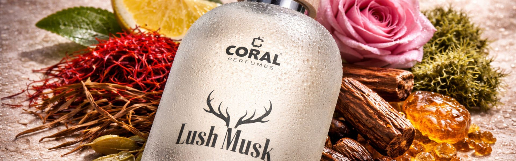 Coral Lush Musk For Unisex EDP 50ml