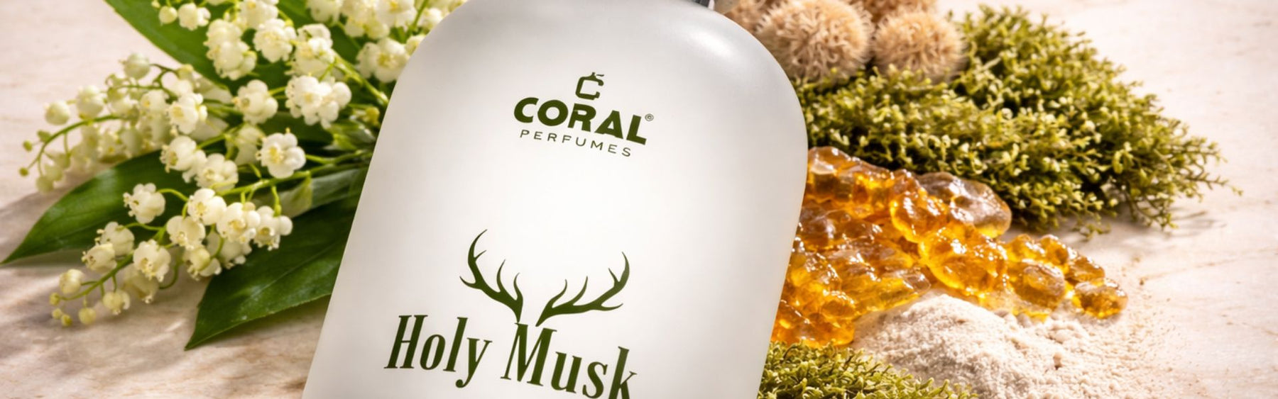 Coral Holy Musk For Unisex EDP 50ml