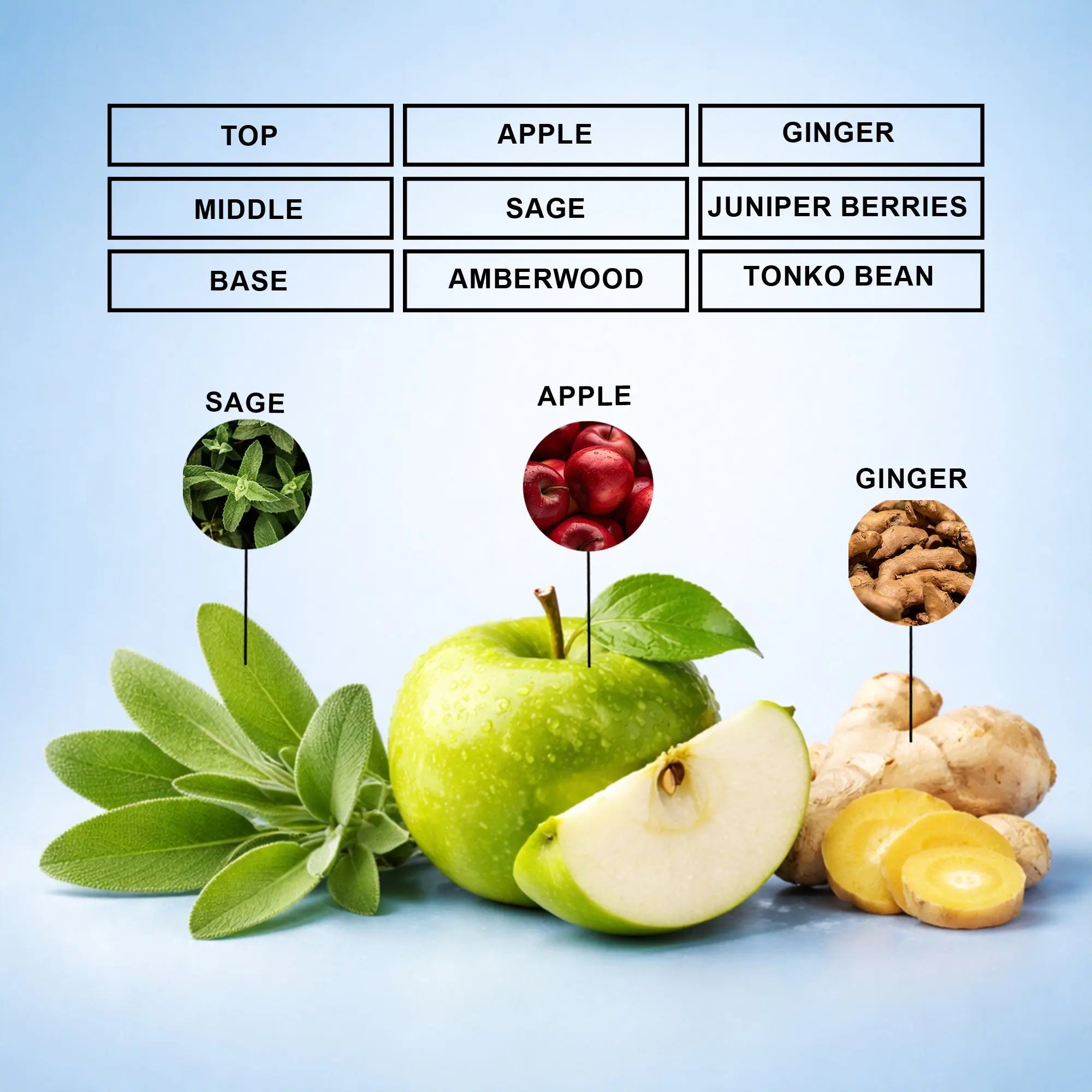 Alpha Y Perfume Oil | Inspired By Y For Men