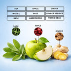 Alpha Y Eau de Parfum | Inspired By Y For Men