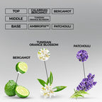 true self perfume oil inspired by myslf for men