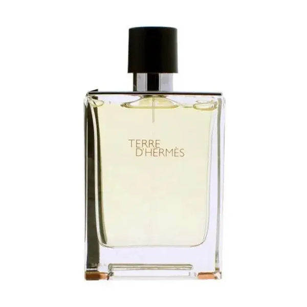 Hermes Terre D`Hermes For Men EDT 100Ml
