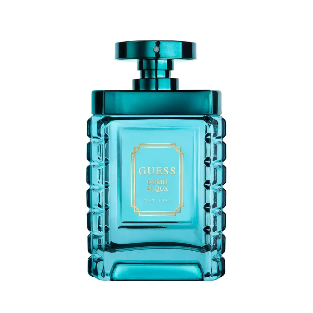 guess uomo acqua edt for men 100ml