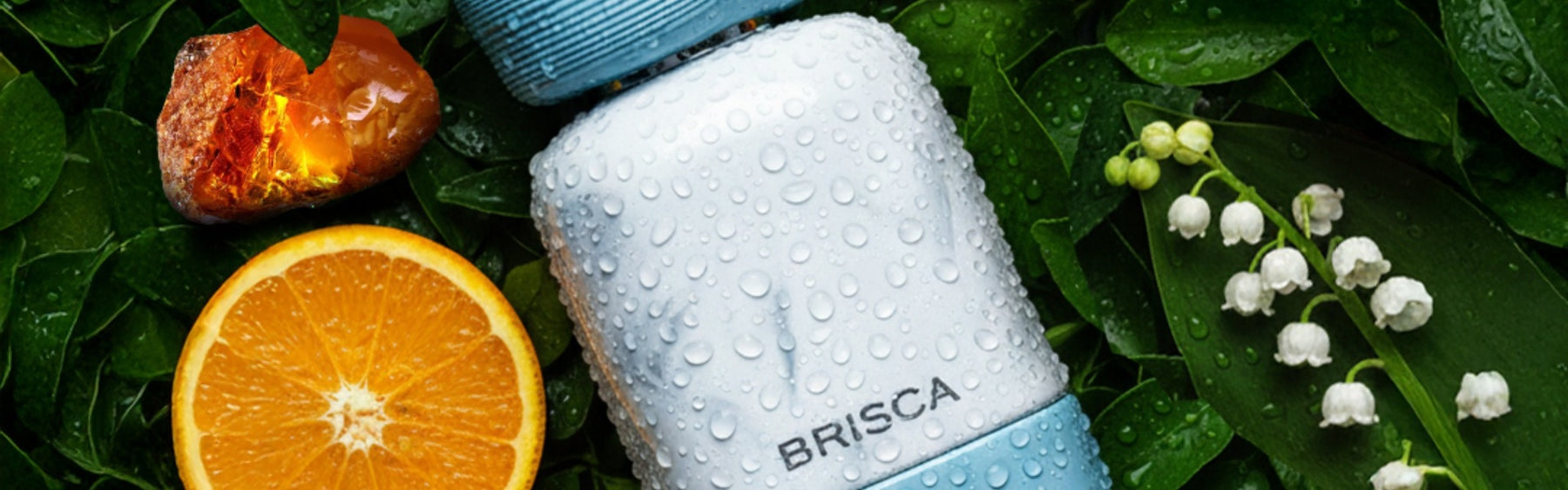 Coral Brisca For Women Extrait De Parfum 100ml