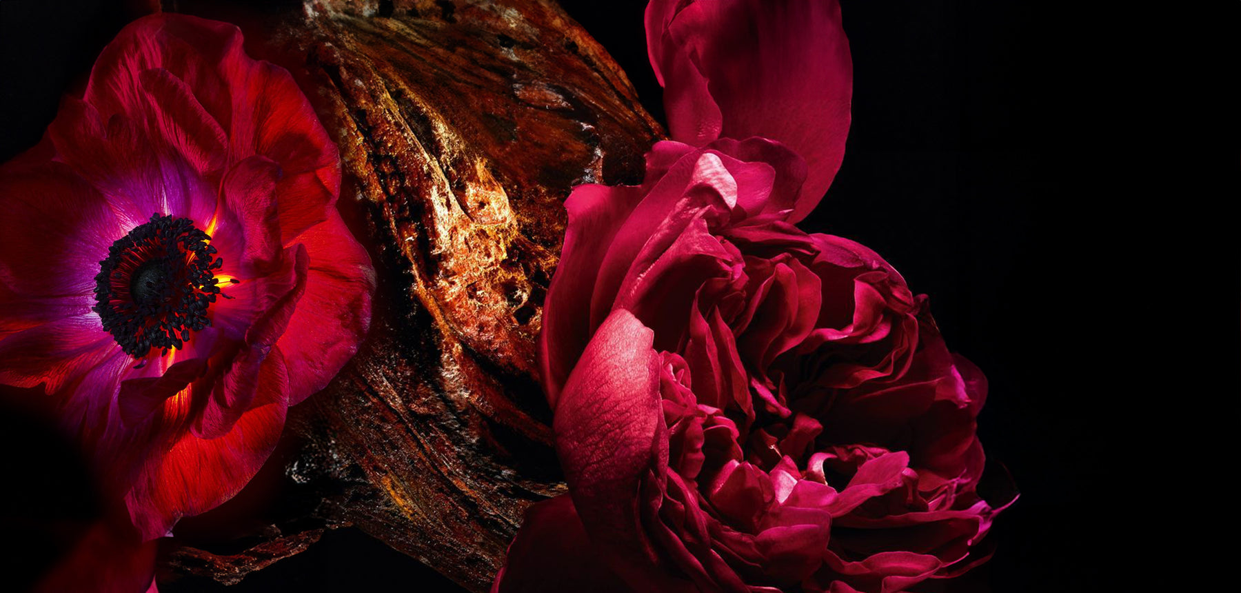 Coral Escape Seduction For Women EDP 100ml